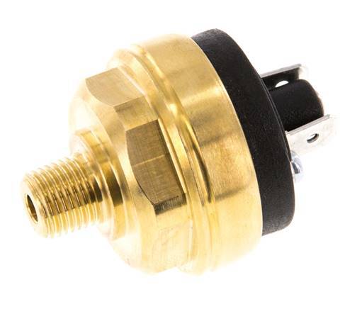 0.2 to 2bar NO Brass Pressure Switch M10 42VAC/DC Flat Connector