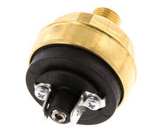 0.2 to 2bar NO Brass Pressure Switch M10 42VAC/DC Flat Connector
