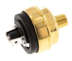 0.2 to 2bar NO Brass Pressure Switch M10 42VAC/DC Flat Connector