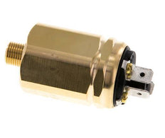 -0.98 to -0.2bar SPDT Brass Vacuum Switch G1/8'' 42VAC Flat Connector