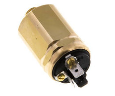 -0.98 to -0.2bar SPDT Brass Vacuum Switch G1/8'' 42VAC Flat Connector