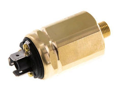 -0.98 to -0.2bar SPDT Brass Vacuum Switch G1/8'' 42VAC Flat Connector