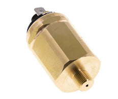 -0.98 to -0.2bar SPDT Brass Vacuum Switch G1/8'' 42VAC Flat Connector