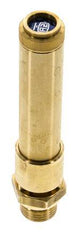 G 1/2'' Brass Pre-Set Safety Valve 47.5 bar (688.94 psi) DN 10