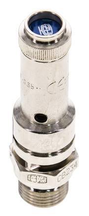 G 3/8'' Nickel-plated Brass Pre-Set Safety Valve 1 bar (14.5 psi) DN 8