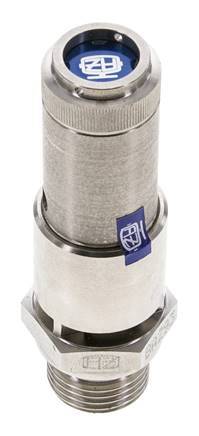 G 1/2'' Stainless steel 316 Ti Pre-Set Safety Valve 2 bar (29.01 psi) DN 10