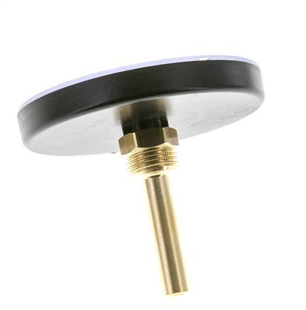 0 to +120°C Plastic Bimetallic Thermometer 100mm Cabinet 60mm Stem with Thermowell