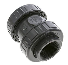 PVC Check Valve Rp 2'' 0.012-16bar (0.17-232psi)
