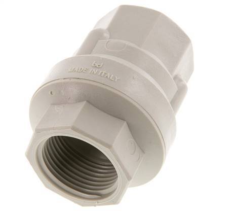 G 1'' Polypropylene Check Valve 0.02-6 bar (0.29-87 psi)