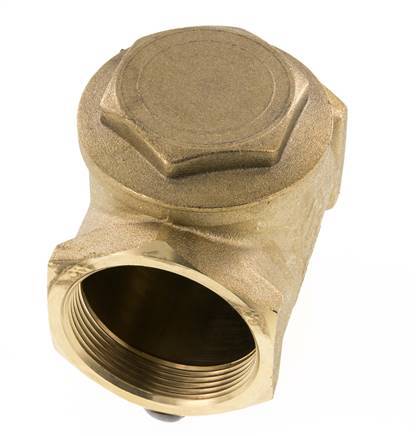 G 2'' Brass Swing Check Valve 10 bar (145 psi) NBR Soft Seal