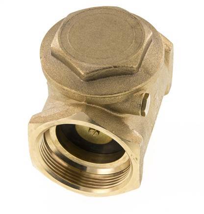 G 2'' Brass Swing Check Valve 10 bar (145 psi) NBR Soft Seal