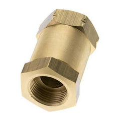 G 3/4'' Female Threaded Brass Check Valve 0.1-40 bar (1.45-580 psi)