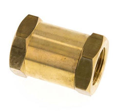 G 1'' Female Threaded Brass Check Valve 0.1-40 bar (1.45-580 psi)