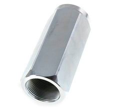 G 1-1/2'' Hydraulic Check Valve Steel 0.7-300 bar (10.15-4350 psi)