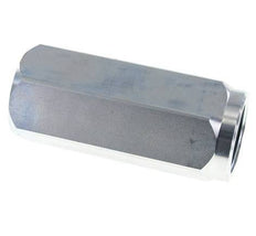 G 1-1/2'' Hydraulic Check Valve Steel 3-300 bar (43.5-4350 psi)