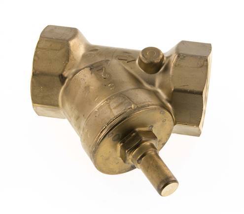Rp 2'' Brass Y Check Valve 10 bar (145 psi) NBR