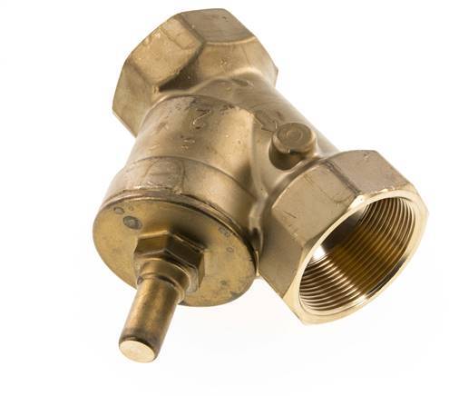Rp 2'' Brass Y Check Valve 10 bar (145 psi) NBR